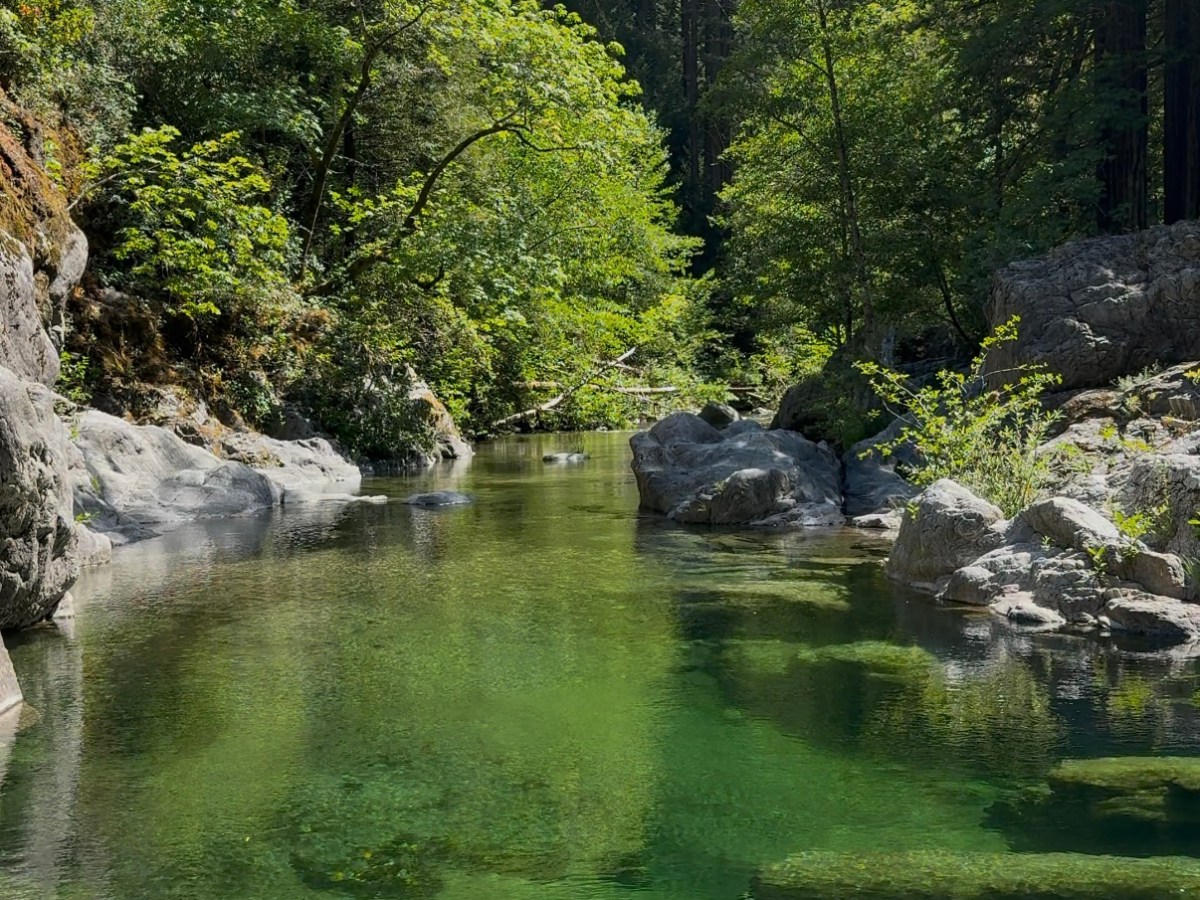 Big Sur Backpacking Ventana Campground – May&nbsp;2025