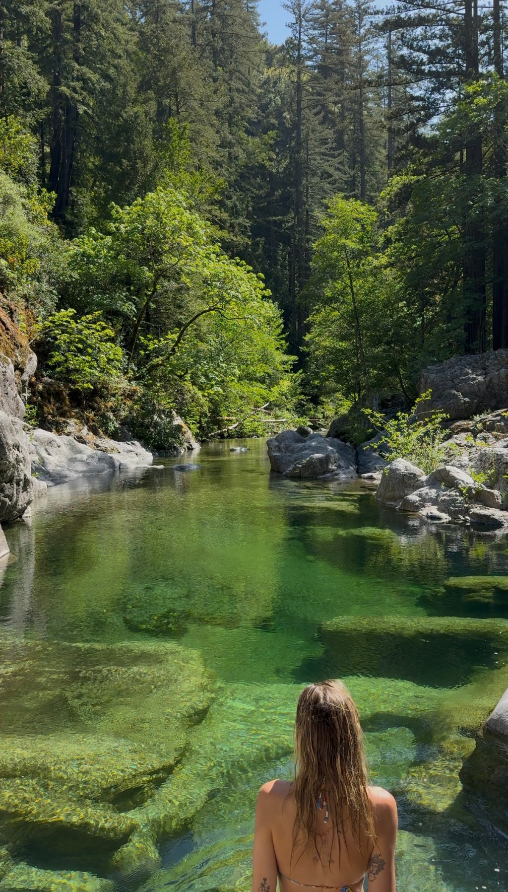 Big Sur Backpacking Ventana Campground - May 2025