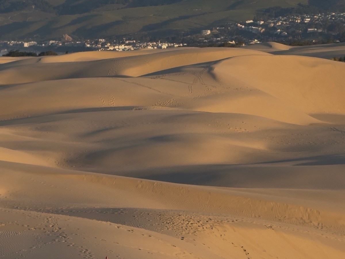 Pismo Beach – February&nbsp;2026